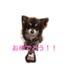 ぴぽとチョコ（個別スタンプ：10）