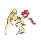 三匹のネコ（個別スタンプ：5）