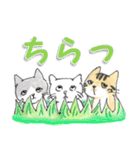 三匹のネコ（個別スタンプ：30）