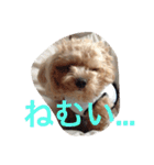 プル（個別スタンプ：9）