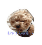 プル（個別スタンプ：10）