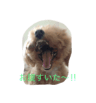 プル（個別スタンプ：12）