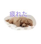 プル（個別スタンプ：13）