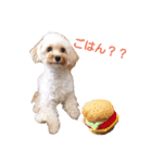 こじろーのキモチ（個別スタンプ：2）