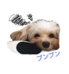 こじろーのキモチ（個別スタンプ：7）