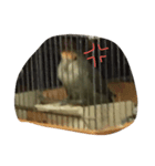 ぴーたす（個別スタンプ：4）