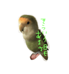 ぴーたす（個別スタンプ：6）