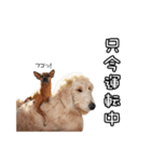 M・C・B LIFE（個別スタンプ：1）