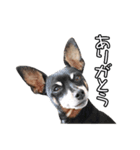 M・C・B LIFE（個別スタンプ：2）