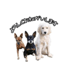 M・C・B LIFE（個別スタンプ：4）