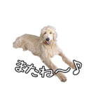 M・C・B LIFE（個別スタンプ：5）