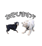 M・C・B LIFE（個別スタンプ：6）