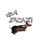 M・C・B LIFE（個別スタンプ：8）