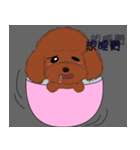 HONG,DOU-BING（個別スタンプ：7）