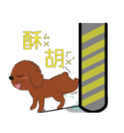 HONG,DOU-BING（個別スタンプ：8）