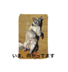ルカのひと言（個別スタンプ：3）