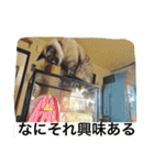 ルカのひと言（個別スタンプ：6）