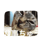 ルカのひと言（個別スタンプ：8）