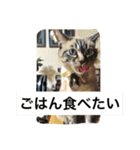 ルカのひと言（個別スタンプ：9）