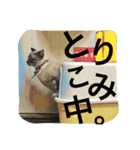 ルカのひと言（個別スタンプ：18）