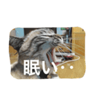 ルカのひと言（個別スタンプ：24）