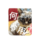 ルカのひと言（個別スタンプ：25）