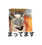 ルカのひと言（個別スタンプ：27）