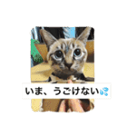 ルカのひと言（個別スタンプ：28）