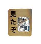 ルカのひと言（個別スタンプ：30）