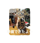 ルカのひと言（個別スタンプ：32）
