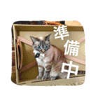 ルカのひと言（個別スタンプ：35）