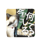 ルカのひと言（個別スタンプ：36）