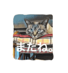 ルカのひと言（個別スタンプ：39）
