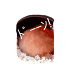 ハムチョコとはなの日常（個別スタンプ：8）