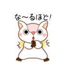 モモンガ ももたん 使える！日常会話（個別スタンプ：25）