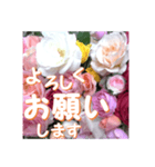 薔薇の花♡アソート11_挨拶メッセージ（個別スタンプ：2）