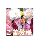 薔薇の花♡アソート11_挨拶メッセージ（個別スタンプ：5）