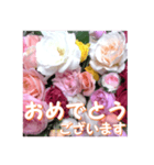 薔薇の花♡アソート11_挨拶メッセージ（個別スタンプ：8）