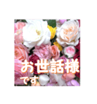 薔薇の花♡アソート11_挨拶メッセージ（個別スタンプ：9）