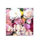 薔薇の花♡アソート11_挨拶メッセージ（個別スタンプ：10）