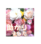 薔薇の花♡アソート11_挨拶メッセージ（個別スタンプ：11）
