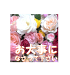 薔薇の花♡アソート11_挨拶メッセージ（個別スタンプ：12）