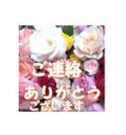薔薇の花♡アソート11_挨拶メッセージ（個別スタンプ：13）