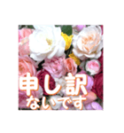 薔薇の花♡アソート11_挨拶メッセージ（個別スタンプ：16）