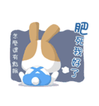 why ？ Rabbits. Queen（個別スタンプ：7）