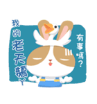 why ？ Rabbits. Queen（個別スタンプ：10）