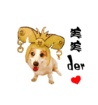 Corgi Orange is Awesome（個別スタンプ：9）