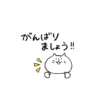 しろねこさんの敬語スタンプ（個別スタンプ：25）