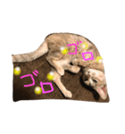 いつも可愛いはるちゃん（個別スタンプ：4）