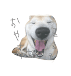 寧々（個別スタンプ：1）
